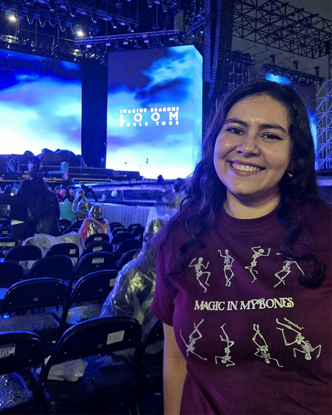 Imagine Dragons Collection