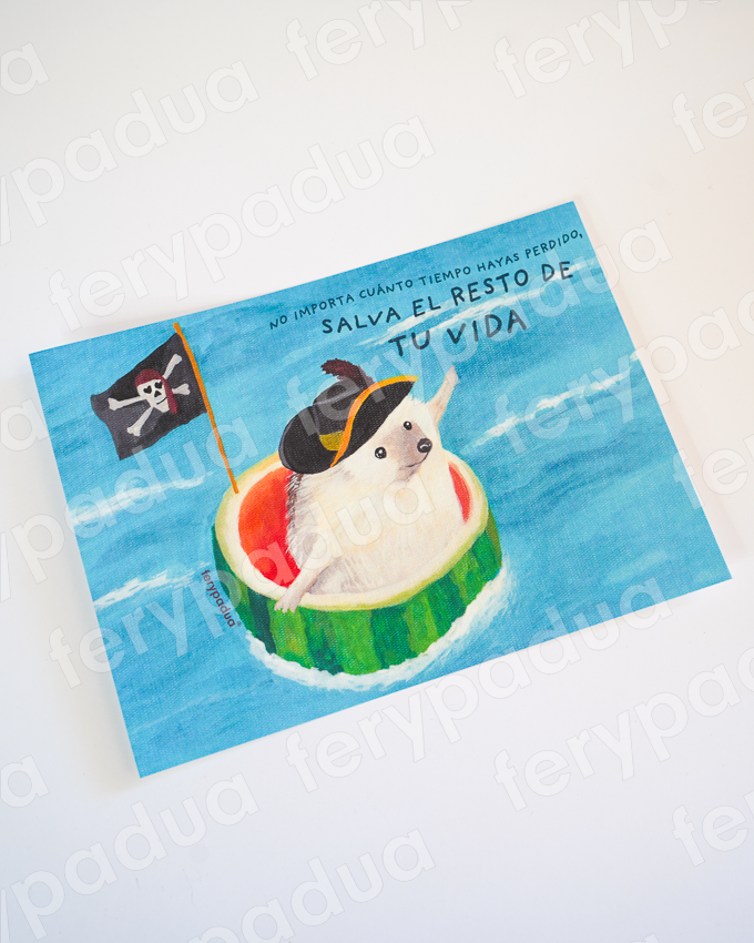 Postal Erizo pirata